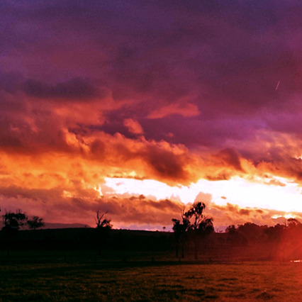 Farmer Gregie, Scenic Rim Dairy