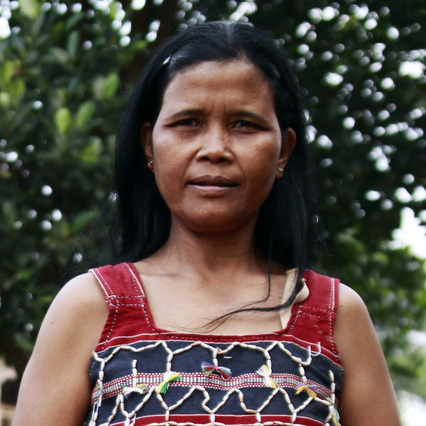 Vi Thonh, Weaver & Farmer, Phnom Village