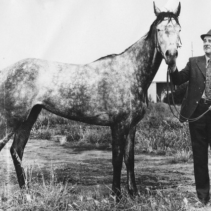 Charlie's Story, Murray Bridge