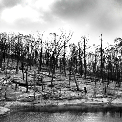 Recovery, Strathewen
